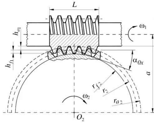 Worm Gear drawing