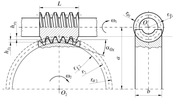 Worm gear teeth