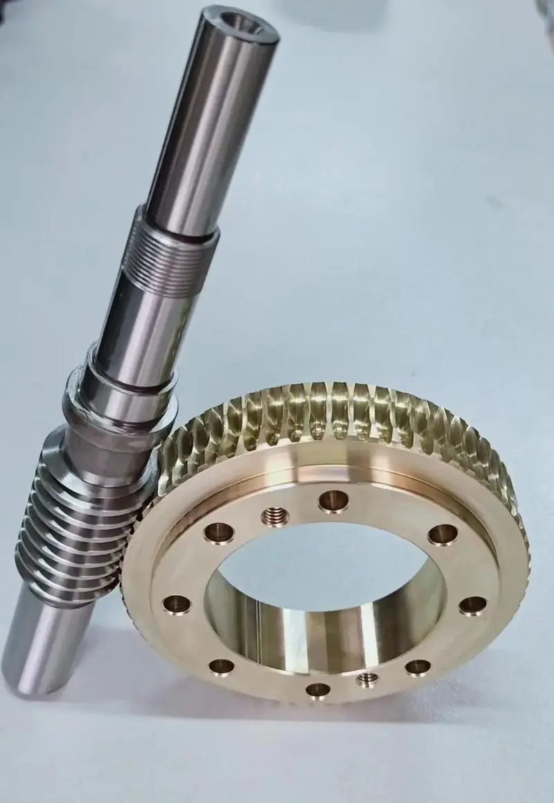 OEM worm gear set