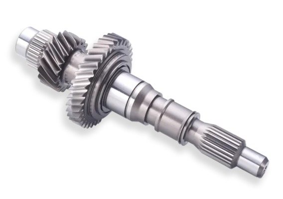 Gear and shaft together